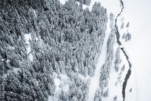 Small mountain stream crossing a snowy forest in winter - Savoie, Alpes photo