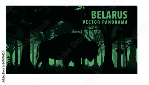 vector panorama of Belarus with brown zubr buffalo bison