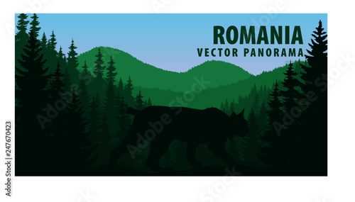 vector panorama of Romania with wild bobcat lynx