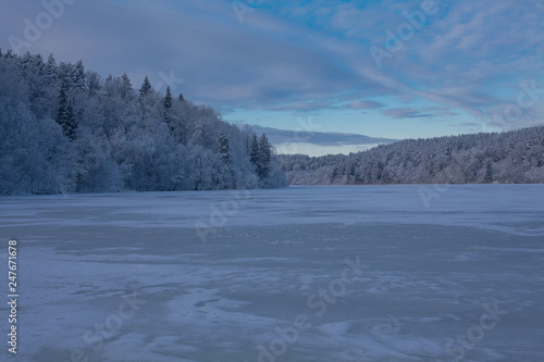 winter landscape on a sunny day © Diana Taliun