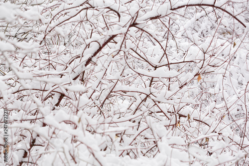 Winter photography in the mountains of Idaho