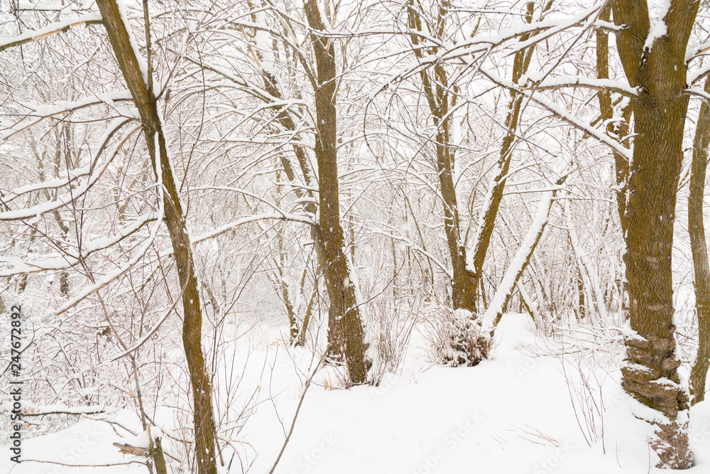 Winter photography in the mountains of Idaho Winter photography in the mountains of Idaho