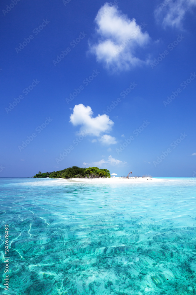Amazing tropical island with coconut palms Amazing tropical island with coconut palms