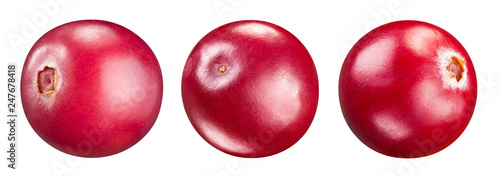 Cranberry isolated Clipping Path photo