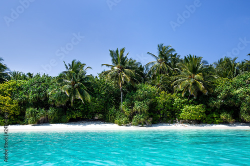 Sea with coconut palms island © photopixel