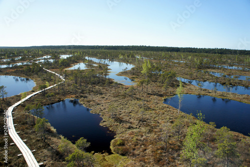 Pathway in the Great Kemeri Bog.Latvia. 