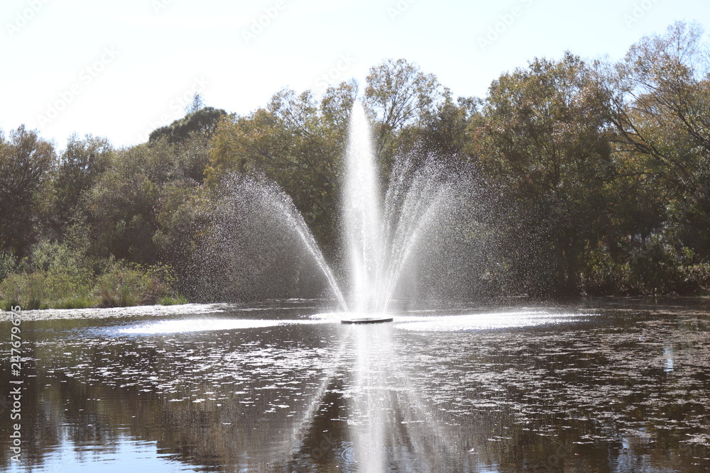 Fountain Spray