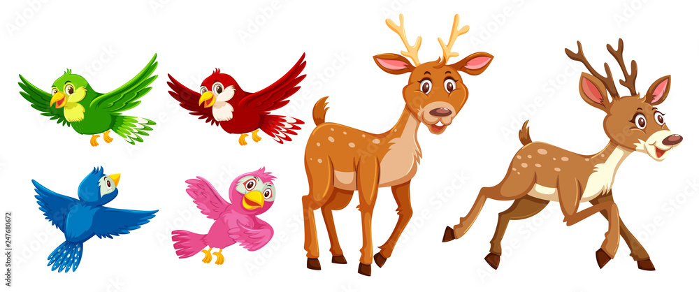 Set of deer and bird character Set of deer and bird character
