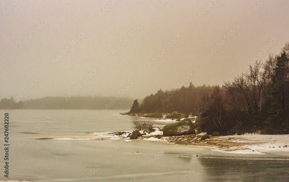 Winter lake shoreline on a misty day in Halifax, Nova Scotia, frozen, foggy. - obrazy, fototapety, plakaty 