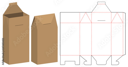 Box packaging die cut template design. 3d mock-up