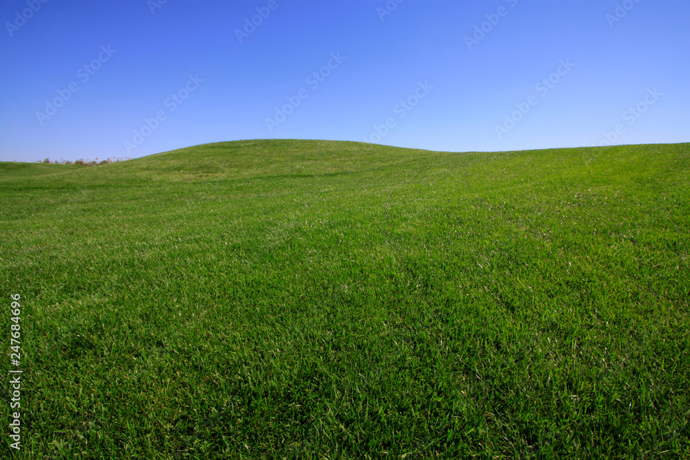 Fototapeta premium golf course lawn