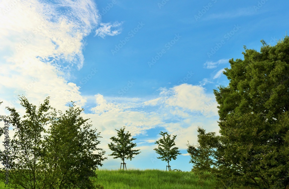 Obraz premium 風景 空 緑 夏 とちぎ