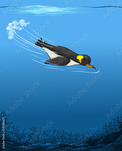 A penguin swimming underwater