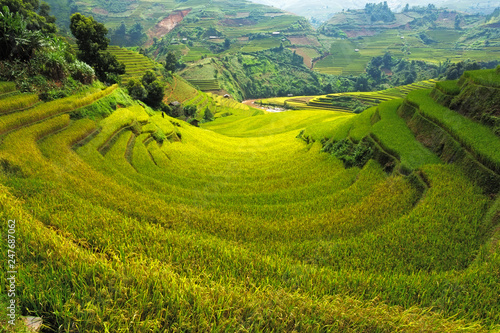 Rice field at Mu Cang Chai, Vietnam © anujakjaimook