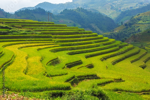 Rice field at Mu Cang Chai, Vietnam