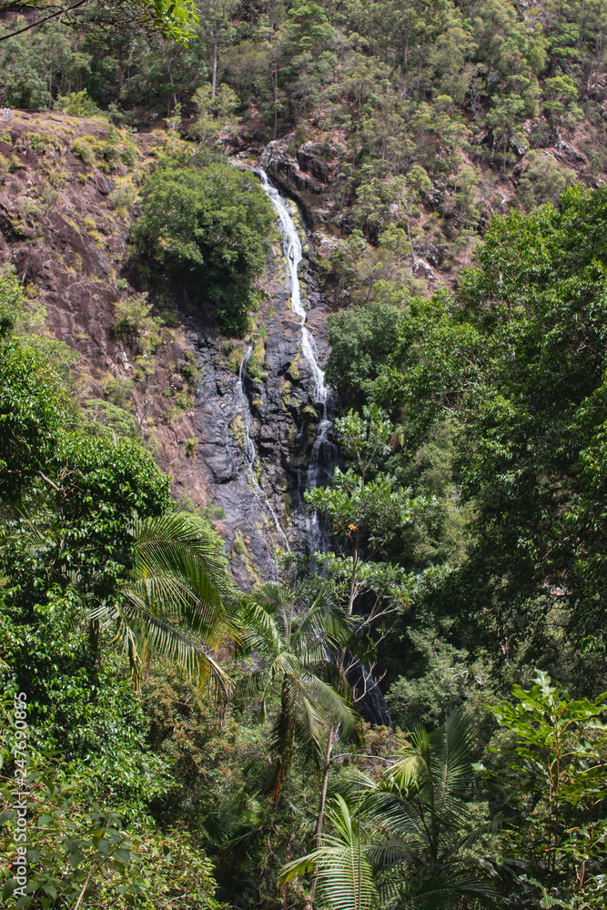 waterfall in deep forest Australia Sunshine Coast