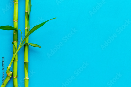 Fototapeta Naklejka Na Ścianę i Meble -  Asian background. Green bamboo branches on blue background top view copy space