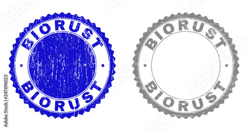 Grunge BIORUST stamp seals isolated on a white background. Rosette seals with grunge texture in blue and gray colors. Vector rubber imitation of BIORUST tag inside round rosette.