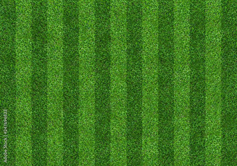 Naklejka Green grass field background for soccer and football sports. Green lawn pattern and texture background. Close-up.