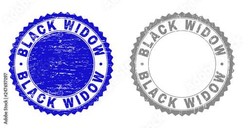 Grunge BLACK WIDOW stamp seals isolated on a white background. Rosette seals with grunge texture in blue and grey colors. Vector rubber overlay of BLACK WIDOW caption inside round rosette.