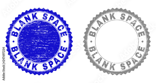 Grunge BLANK SPACE stamp seals isolated on a white background. Rosette seals with grunge texture in blue and gray colors. Vector rubber overlay of BLANK SPACE title inside round rosette.