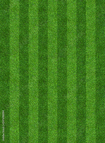 Green grass field background for soccer and football sports. Green lawn pattern and texture background. Close-up. © Lifestyle Graphic