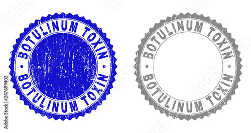 Grunge BOTULINUM TOXIN stamp seals isolated on a white background. Rosette seals with grunge texture in blue and grey colors. Vector rubber overlay of BOTULINUM TOXIN caption inside round rosette.