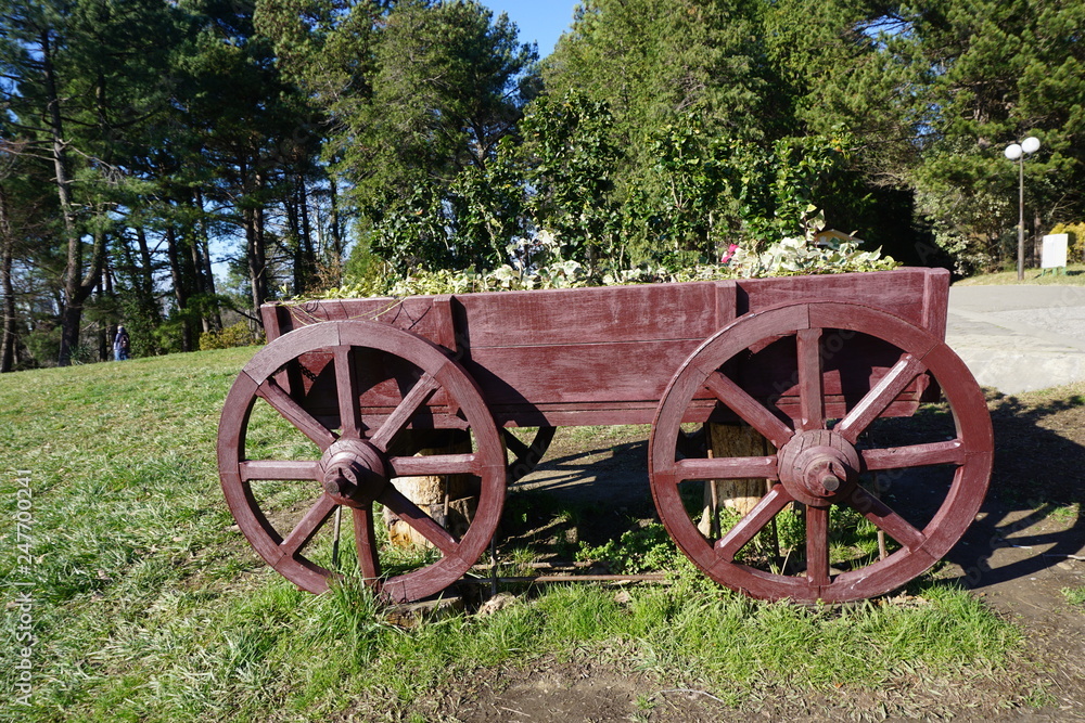 wooden cart with flowerbed in the park