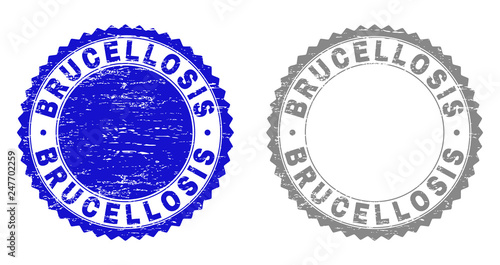 Grunge BRUCELLOSIS stamp seals isolated on a white background. Rosette seals with distress texture in blue and gray colors. Vector rubber watermark of BRUCELLOSIS caption inside round rosette.