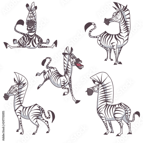 bundle pack funny zebra cartoon