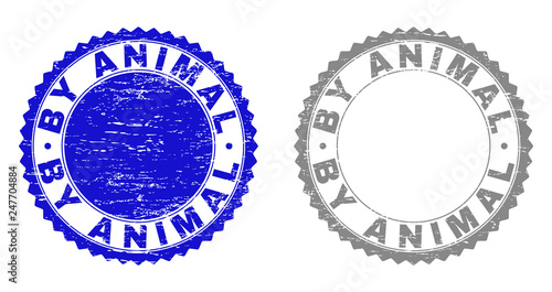 Grunge BY ANIMAL stamp seals isolated on a white background. Rosette seals with grunge texture in blue and grey colors. Vector rubber overlay of BY ANIMAL text inside round rosette.