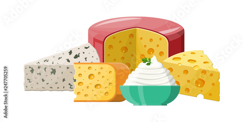 Set of milk cheese products. Whole and piece of cheese cottage isolated on white. Milk dairy product. Organic healthy food. Vector illustration in flat style