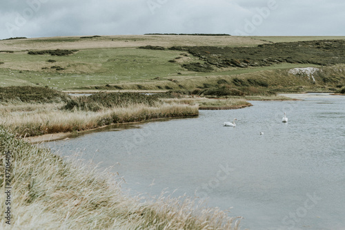 Fototapeta Naklejka Na Ścianę i Meble -  Landscape of a grassland by the water