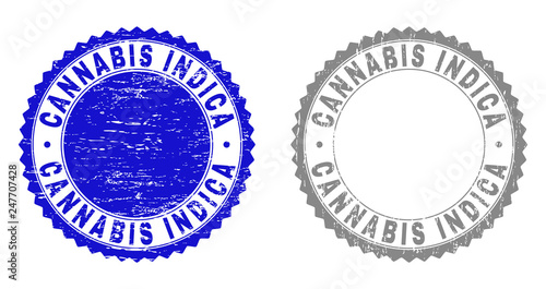 Grunge CANNABIS INDICA stamp seals isolated on a white background. Rosette seals with distress texture in blue and gray colors. Vector rubber imitation of CANNABIS INDICA tag inside round rosette.