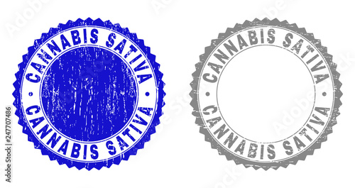 Grunge CANNABIS SATIVA stamp seals isolated on a white background. Rosette seals with grunge texture in blue and gray colors. Vector rubber imprint of CANNABIS SATIVA tag inside round rosette.