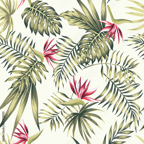 Bird of paradise flowers tropical palm leaves beige background