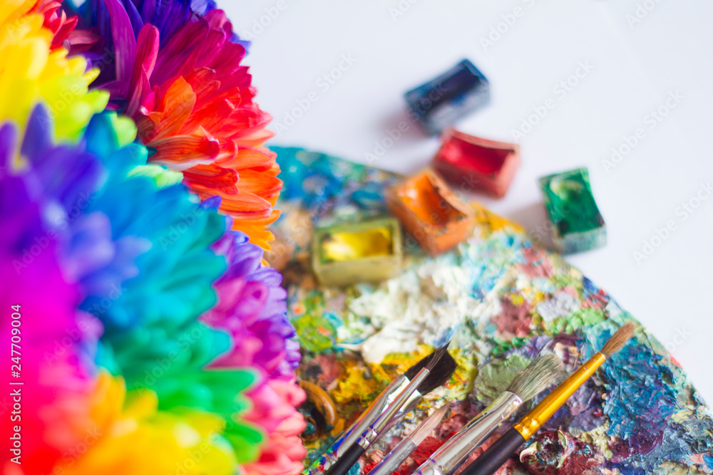 multi-colored chrysanthemums on the palette with paints and brushes of the artist