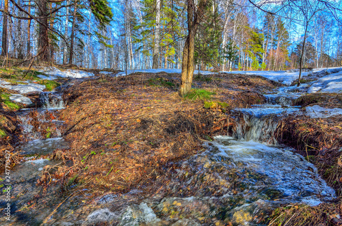 Early spring landscape in forest with melting snow and brooks