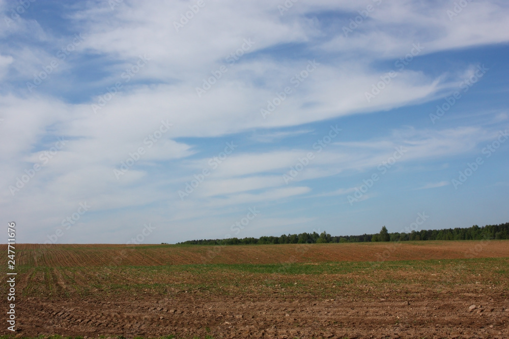 Spring plowed field and bright blue sky with white clouds. Spring plowed field and bright blue sky with white clouds.