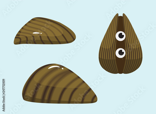 Invasive Species Zebra Mussel Vector Illustration