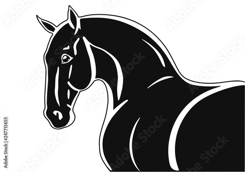 Horse head shape silhouette