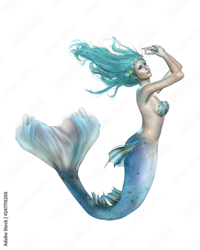 Obraz Mermaid