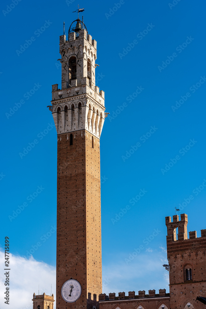Obraz premium Torre del Mangia - Siena Tuscany Italy