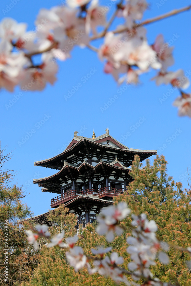 Park building scenery Park building scenery
