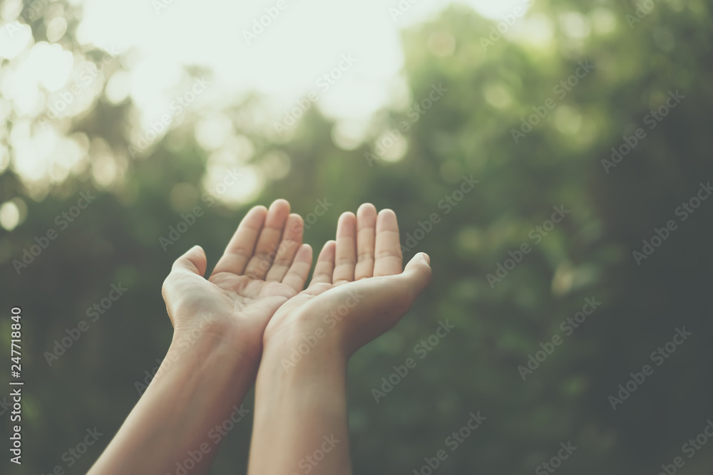 Woman hands place together like praying in front of nature green background. Woman hands place together like praying in front of nature green background.