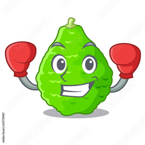Boxing kaffir lime basket of vegetable mascot