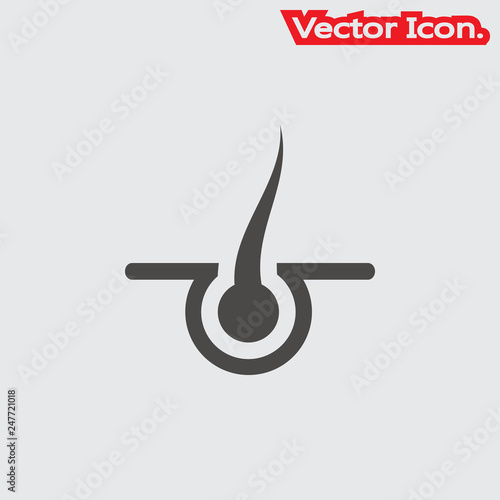 Hair follicle icon isolated sign symbol and flat style for app, web and digital design. Vector illustration.