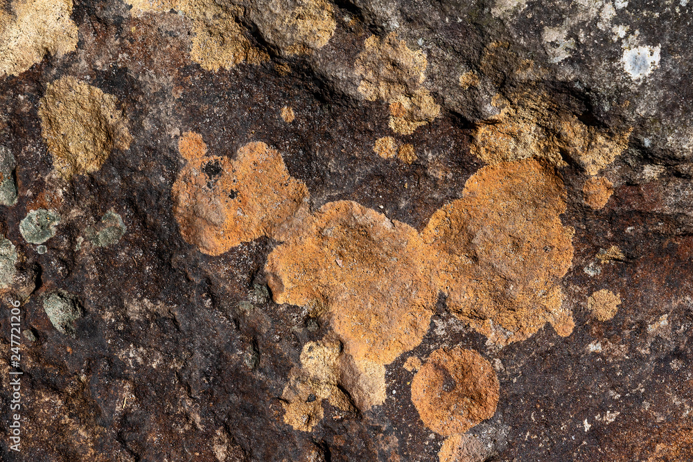 Stone texture background.