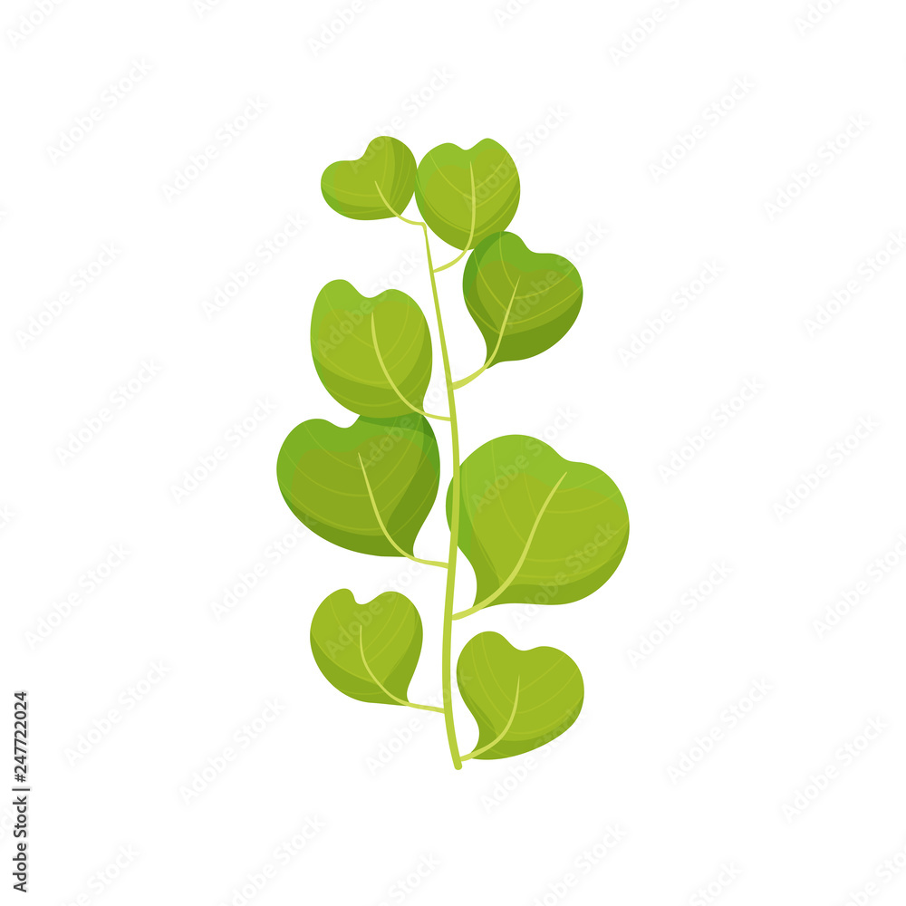 Branch of tree or bush with green leaves. Spring with fresh foliage. Nature and botany theme. Flat vector design Branch of tree or bush with green leaves. Spring with fresh foliage. Nature and botany theme. Flat vector design
