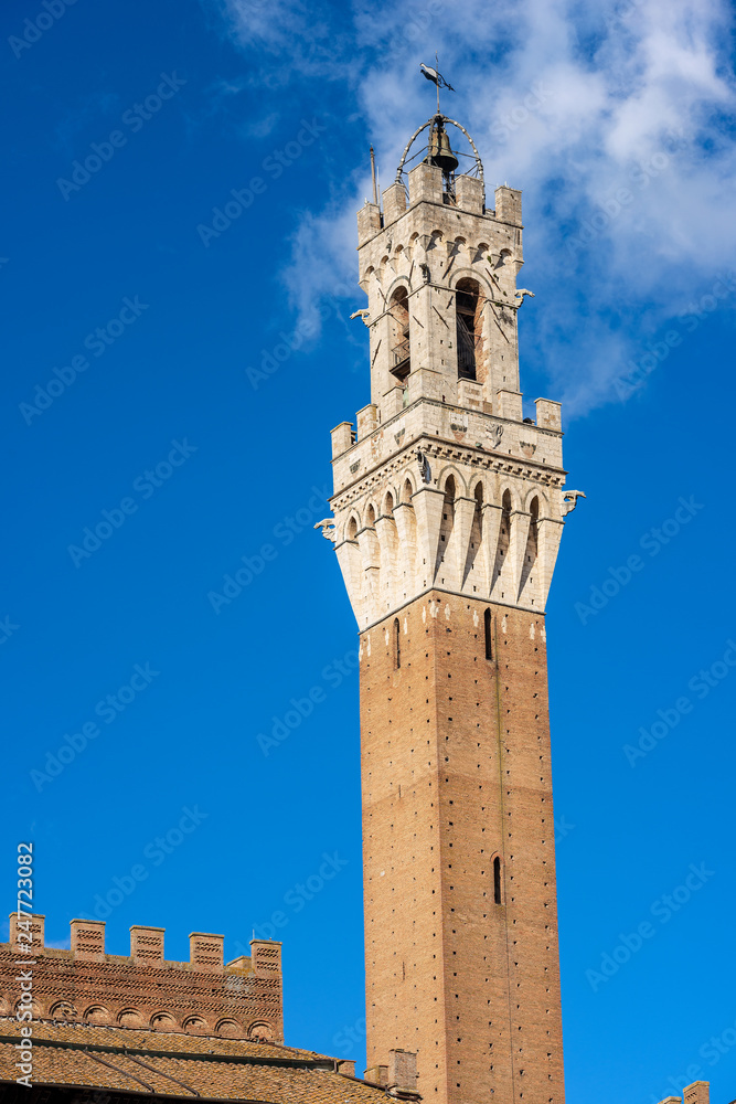 Torre del Mangia - Siena Tuscany Italy
